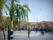 رئيس بعثة الحج: وصول 5850 حاجا مصريا للمدينة المنورة وبدء وصول الرحلات لمكة 