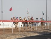 ختامي حافل بإنجازات الهجن في مهرجان الوثبة 2025 بأبوظبي.."دوله" و"الشبابي" يقودان هجن الرئاسة للرموز الذهبية.. "مبشرة" تحصد السيف الذهبي لأبناء القبائل.. الشيخ سلطان بن حمدان: المهرجان جسّد الهوية الوطنية