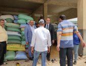 توريد 195 ألفًا و199 طن من الأقماح المحلية بكفر الشيخ