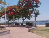 ارتفاع خفيف فى درجات الحرارة ونشاط الهواء البارد بالمنيا.. فيديو