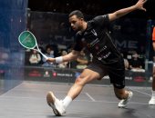 4 مصريين يتأهلون لنصف نهائى بطولة بالم هيلز المفتوحة للاسكواش
