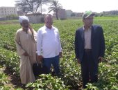 وكيل وزارة الزراعة بسوهاج يتفقد الجمعيات الزراعية ويتابع صرف الأسمدة للمزارعين