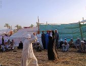 مرماح وتحطيب.. فعاليات احتفال مولد "الشيخ العريان" بقنا