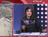 أستاذ علوم سياسية: مصر صاحبة الملف في القضية الفلسطينية على مدار التاريخ