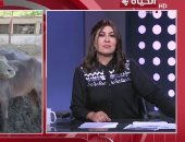 أمين الفتوى: صك الأضحية لا يؤثر على الثواب والأجر كاملا