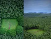 أجمل ملعب كريكيت في الهند يختبئ وسط مزرعة مترامية الأطراف