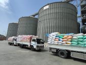 سنابل الخير.. توريد 274 ألف طن قمح محلي إلى شون وصوامع البحيرة