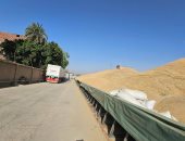 أنهار الذهب الأصفر مستمرة في الجريان على شون وصوامع الأقصر.. توريد 20 ألف طن قمح لشون إسنا وأرمنت.. وكيل التموين: 4 نقاط جاهزة لاستلام المحصول.. والمحافظ يوجه بتوفير أعلى معايير الأمن والسلامة.. فيديو وصور