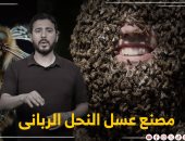 أصغر مصنع فى الكون داخل حشرة.. شاهد مراحل إنتاج العسل مع تليفزيون اليوم السابع