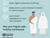 الصحة العالمية تقدم أهم النصائح للوقاية من لدغات البعوض أثناء مناسك الحج