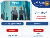 وزير العمل: 600 فرصة عمل فى مشروع محطة الضبعة النووية بمرتب 14 ألف جنيه شهريا