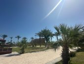 الوضع فى بورسعيد غير إسكندرية.. شمس ساطعة ورياح خفيفة.. فيديووصور