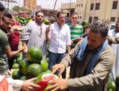 الطبلة دلعت أبو قلب أحمر فى سوق بنها.. شاهد مزاد البطيخ بالقليوبية.. فيديو
