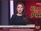 سمير صبري: اجتماع الرئيس السيسي اليوم يبعث رسائل قوية في وسط إقليمي مليء بالصراعات