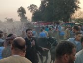 سوق المواشى فى مدينة طنطا بالغربية.. قبلة المواطنين من مختلف المناطق لشراء الأضاحى.. التجار: آخر أسبوع قبل عيد الأضحى المبارك يشهد ازدحاما كبيرا من المضحين.. ويؤكدون: السوق يتميز بجودة المعروض.. فيديو صور