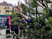 إصابة 12 شخصا بينهم سياح فى البندقية إثر سقوط شجرة بلوط "صور"