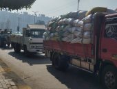 توريد 221 ألفًا و135طن قمح فى كفر الشيخ