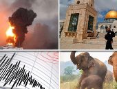 باختصار.. أهم الأخبار العربية والعالمية حتى الظهيرة.. عشرات المستوطنين يقتحمون المسجد الأقصى وسط حراسة شرطة الاحتلال.. زيمبابوى تقرر ذبح الفيلة وتوزع لحومها للاستهلاك البشرى.. زلزال بقوة 5.3 درجة يضرب إندونيسيا