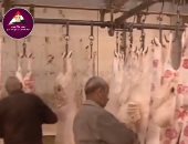 الخدمات البيطرية: ذبح مجانى وآمن للأضاحى وفق الشروط الشرعية والصحية