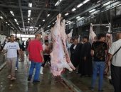المشرف على مجزر البساتين يوضح نصائح هامة قبل تخزين اللحوم