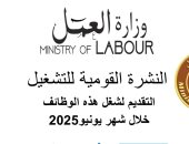 وزارة العمل: 3209 فرصة عمل جديدة فى 59 شركة خاصة تنتظر شباب 14 محافظة