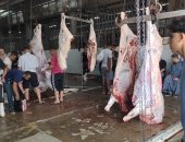 فرحة العيد.. شاهد تجهيز الأضاحى بمجزر البساتين قبل التوزيع.. فيديو