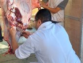 محافظ الجيزة: ذبح 2202 أضحية للمواطنين بمجازر المحافظة أول وثانى أيام العيد