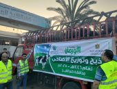استمرار ذبح وتوزيع لحوم الأضاحى على الأسر الأولى بالرعاية فى كفر الشيخ