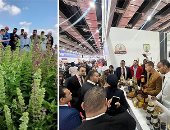 "التكتلات الاقتصادية ببرنامج تنمية الصعيد".. قصة نجاح حققت تنمية حقيقية بشهادة البنك الدولى.. برنامج متكامل لدعم 12 تكتلا اقتصاديا بتكلفة 480 مليون جنيه.. وخريطة بحصر 500 تكتل اقتصادى واعد فى 25 محافظة.. صور