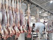 استمرار عمل 13 مجزرا فى أسوان لاستقبال الأضاحى بالمجان