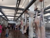 فتح المجازر بالمجان وحظر بيع الأضاحي في الطرق العامة.. قرارات محافظة القاهرة