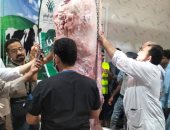 محافظ أسيوط: ذبح أكثر من 320 أضحية بالمجازر الحكومية فى أول يومين بالعيد