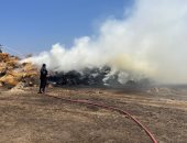السيطرة على حريق التهم محصول 40 فدان كتان بقرية شبرا ملس بالغربية..فيديو