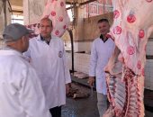 16 مجزرا استقبلت 2593 رأس ماشية من الأضاحي بكفر الشيخ