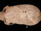 نشرة الثقافة.. اكتشافات أثرية ورواية ستيفن كينج الجديدة الأكثر مبيعا بأمريكا