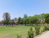 تعرف على حالة الطقس اليوم الخميس 12-6 -2025 فى الإسماعيلية.. فيديو