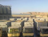 موسم توريد قمح استثنائي بأسوان والكميات تجاوزت المستهدف.. صور