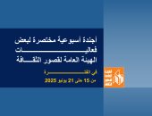 أجندة قصور الثقافة.. انطلاق برنامج مصر جميلة ومهرجان فرق الأقاليم المسرحية