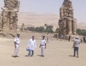 فرق من الطب البيطرى تحصن الكلاب الضالة فى منطقة تمثالى ممنون الأثرية غرب الأقصر.. صور