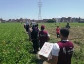 التحالف الوطنى يطلق القافلة الثالثة من قوافل "إيد واحدة" بالإسكندرية