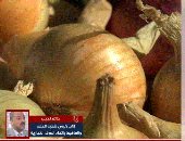 هل تؤثر الحرب على أسعار الخضار والفاكهة؟.. التفاصيل كاملة بالفيديو