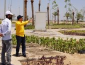 43 مليون جنيه لتنفيذ مشروع زراعة وتنسيق طريق المطار بمدينة سوهاج الجديدة