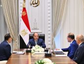 الرئيس السيسى يستعرض وضع التذبذب المتزايد بالأسواق الدولية وانعكاسات الأحداث الجيوسياسية