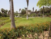 شاهد حديقة الأزبكية بالقاهرة تعود للحياة.. صور