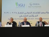 نائب رئيس الاتحاد الدولي للغاز: إغلاق مضيق هرمز سيحدث أزمة دولية كبرى