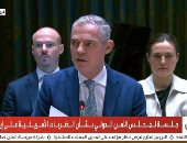 مندوب فرنسا في مجلس الأمن: لم نشارك ولم نخطط في الضربات الأمريكية على إيران