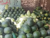 البطيخ أشكال وألوان.. جولة فى عالم أجمل فاكهة من قلب شوادر الغربية