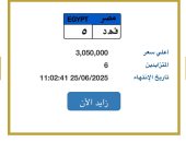 سعر "فهد- 5" يتخطى 3 ملايين جنيه فى مزاد اللوحات المميزة للسيارات