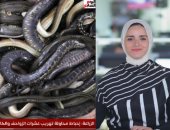 ثعابين وحشرات وعناكب.. إحباط محاولة تهريب زواحف وكائنات نادرة بمطار القاهرة