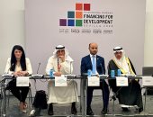 وزيرة التخطيط تشارك بمائدة مستديرة لرؤساء مؤسسات التنسيق العربية والمؤسسات التمويلية